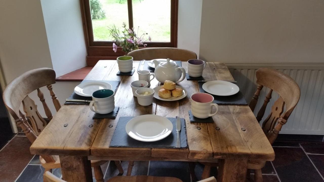 Coopers Cottage Dog Friendly North Cornwall Delabole Zewnętrze zdjęcie
